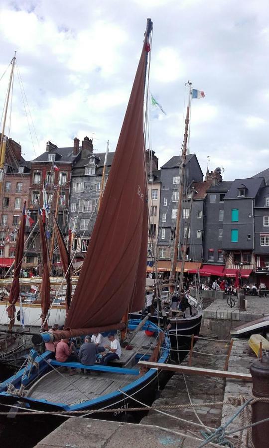 דירות La Fleur D Honfleur Avec Son Parking מראה חיצוני תמונה