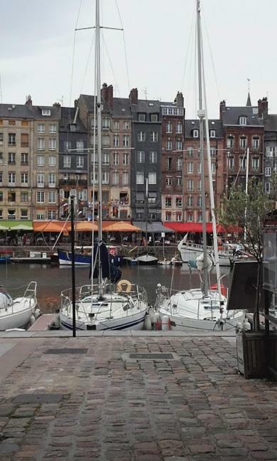 דירות La Fleur D Honfleur Avec Son Parking מראה חיצוני תמונה